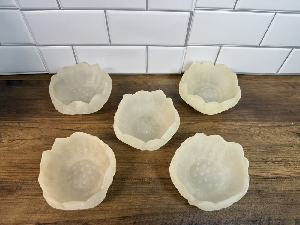 Vintage MCM Frosted Acrylic Flower Bowls Set of 5 Mid Century Modern Floral